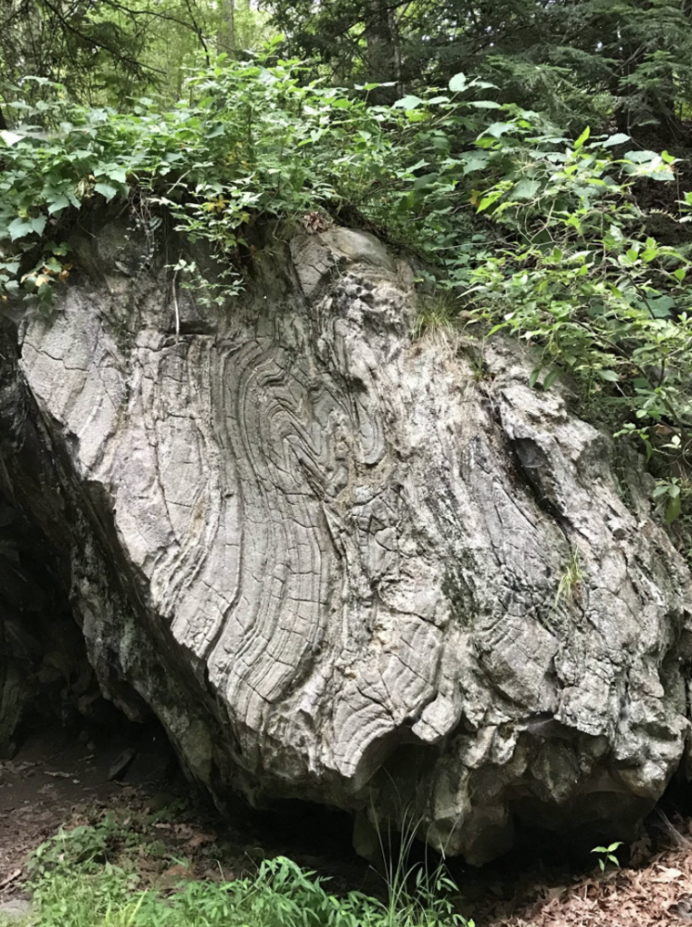 Photo: An aged boulder with detailed lines formed over millions of years.