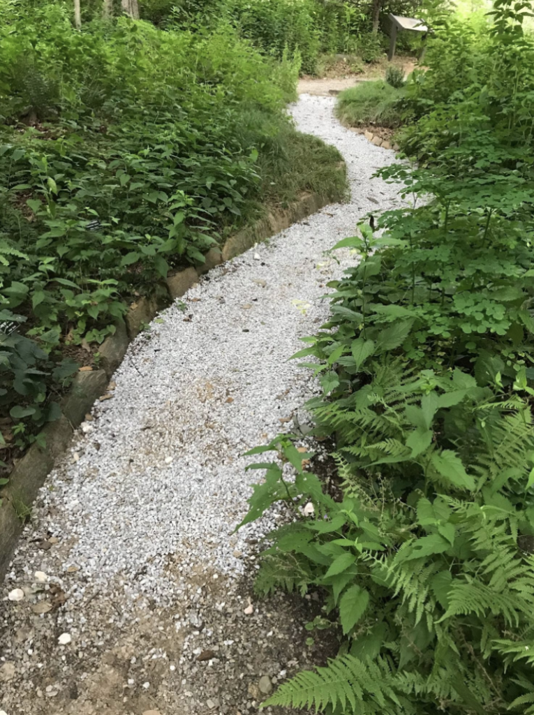 Photo: Clear gravel path.